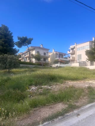 Οικόπεδο 517τ.μ.