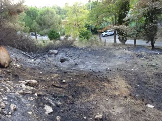 Οικόπεδο 660τ.μ.
