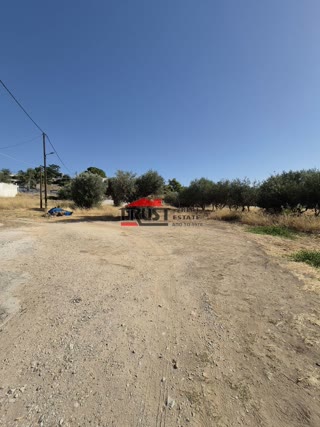 Οικόπεδο 390τ.μ.