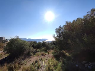 Οικόπεδο 516τ.μ.