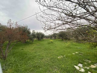 Οικόπεδο 913 τ.μ.
