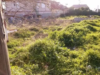Οικόπεδο 288τ.μ.
