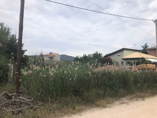 Οικόπεδο 742τ.μ.
