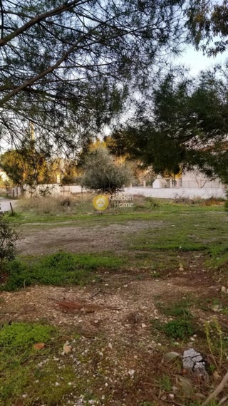 Οικόπεδο 335τ.μ.