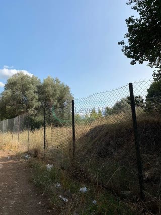 Αγροτεμάχιο 4300 τ.μ.