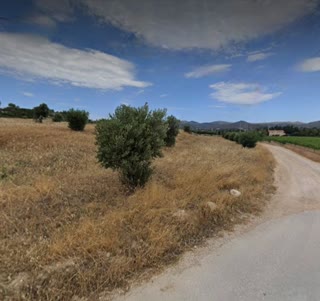 Αγροτεμάχιο 2000τ.μ.