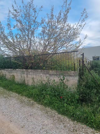 Οικόπεδο 240τ.μ.
