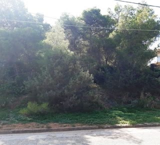 Οικόπεδο 1050τ.μ.