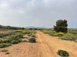 Αγροτεμάχιο 4685 τ.μ.