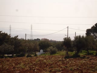 Αγροτεμάχιο 2250τ.μ.