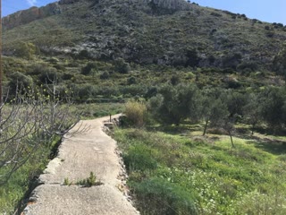 Οικόπεδο 29000 τ.μ.
