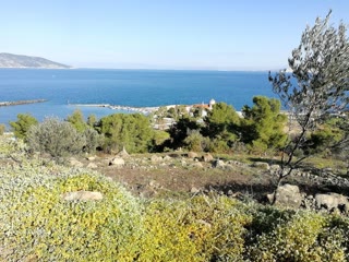 4868 m² Parcel