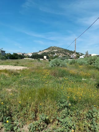 6200 m² Plot