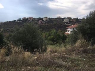 Οικόπεδο 1328τ.μ.