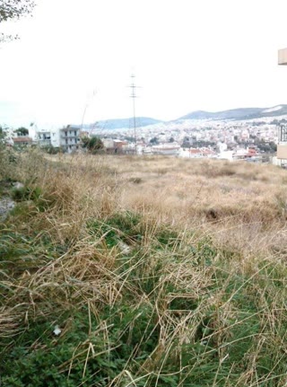 Οικόπεδο 195τ.μ.
