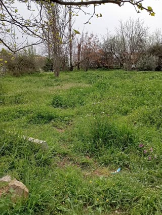 Οικόπεδο 386τ.μ.