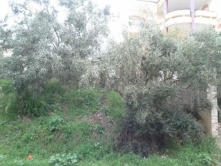 Οικόπεδο 268τ.μ.