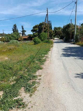 6200 m² Plot
