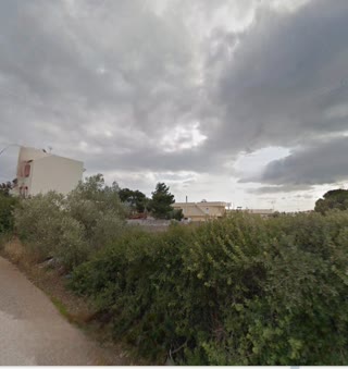 Οικόπεδο 1203 τ.μ.