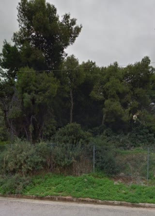 Οικόπεδο 750τ.μ.