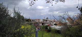 Οικόπεδο 395τ.μ.