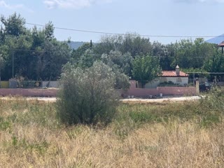 Αγροτεμάχιο 4050 τ.μ.