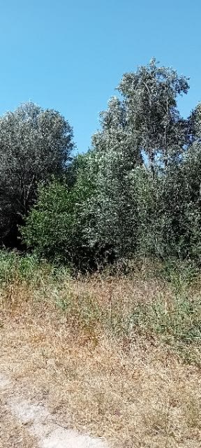 Οικόπεδο 718τ.μ.