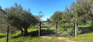 Οικόπεδο 6000 τ.μ.