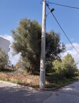 Οικόπεδο 196τ.μ.