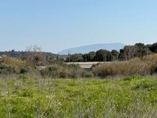 Αγροτεμάχιο 9700τ.μ.