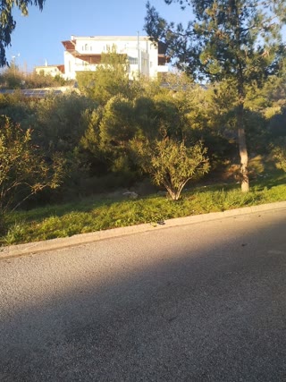 1500τ.μ. Οικόπεδο