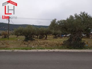 Οικόπεδο 753τ.μ.