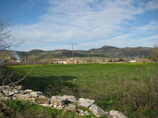 15000 m² Plot