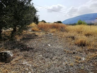 Οικόπεδο 1000 τ.μ.