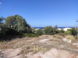 Οικόπεδο 1800τ.μ.