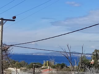 Οικόπεδο 2463τ.μ.