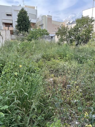 Οικόπεδο 317 τ.μ.