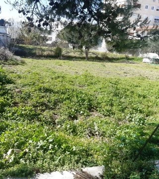 Οικόπεδο 1109 τ.μ.
