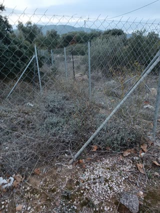 Οικόπεδο 358τ.μ.