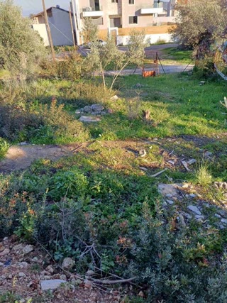 Οικόπεδο 200 τ.μ.