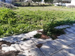 Οικόπεδο 1109 τ.μ.