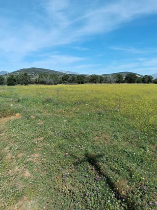18500 τ.μ. Αγροτεμάχιο