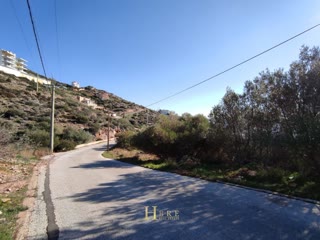 Οικόπεδο 516τ.μ.