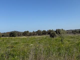 Αγροτεμάχιο 9700τ.μ.