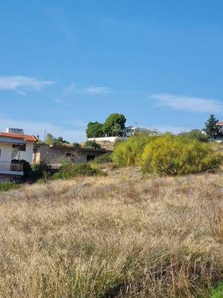 9200 m² Plot