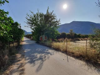 2500 τ.μ. Αγροτεμάχιο