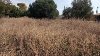 Οικόπεδο 520τ.μ.