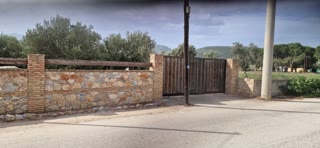 Αγροτεμάχιο 5000 τ.μ.