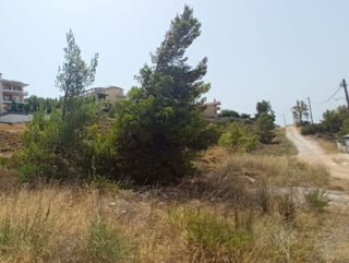 Οικόπεδο 505τ.μ.