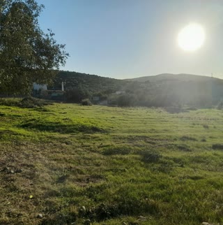 Οικόπεδο 5100 τ.μ.